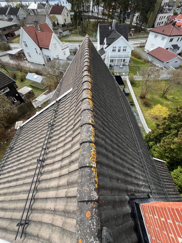 Grått og gjengrodd tak