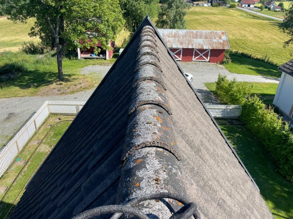 Tak med mose og løv på landet