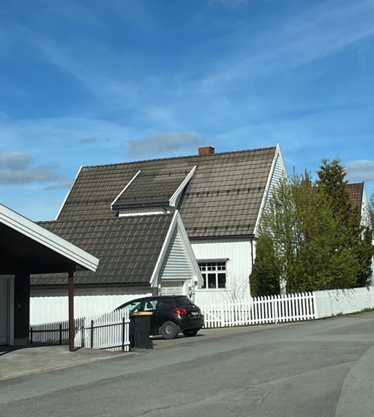 Før behandling