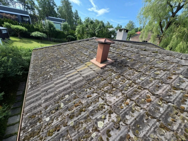 viser et værslitt tak av takspon eller bølgeformede takstein, dekket av flekker med grønn mose og organisk vekst, med en liten, rødbrun pipe midt på