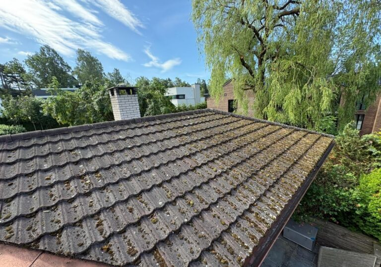 Før behandling