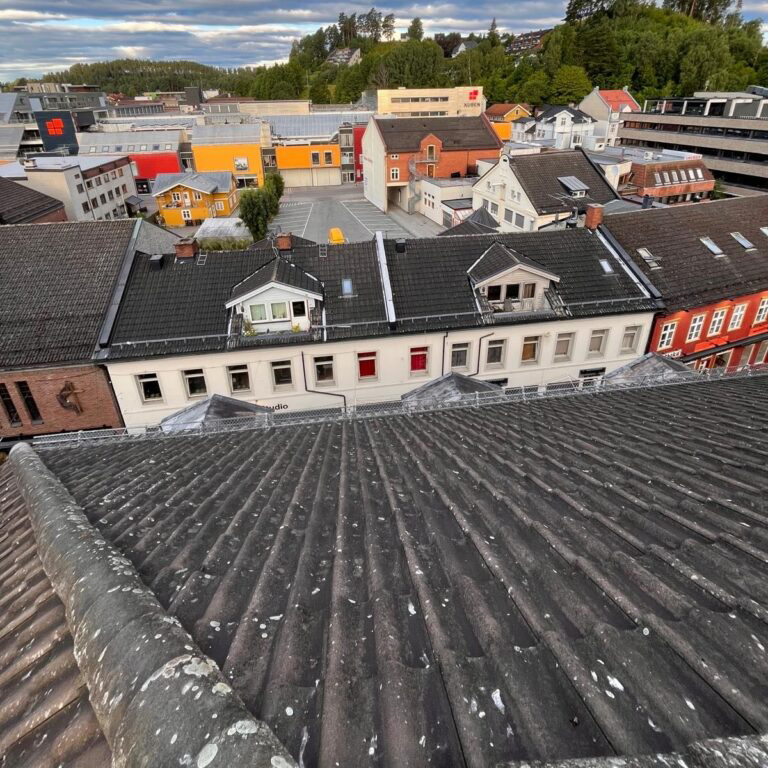 Før behandling