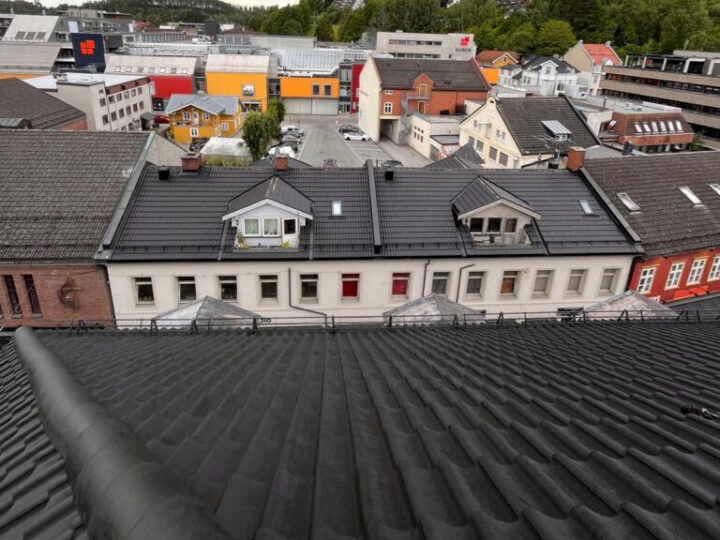 En klassisk optisk illusjon der et svart, sammenrullet teppe eller en sovepose på et tak i forgrunnen ligner påfallende mye på en gigantisk kattehale eller et stort dyr som hviler nær kanten.