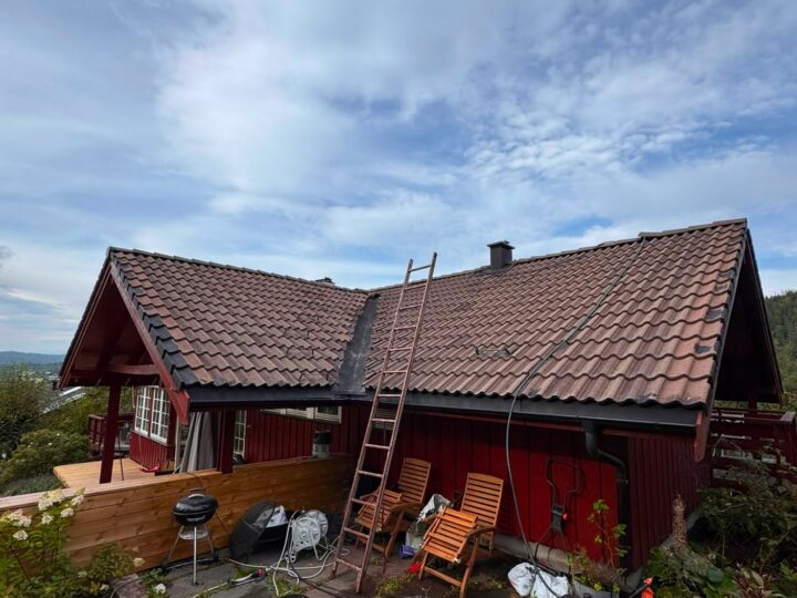 Før behandling