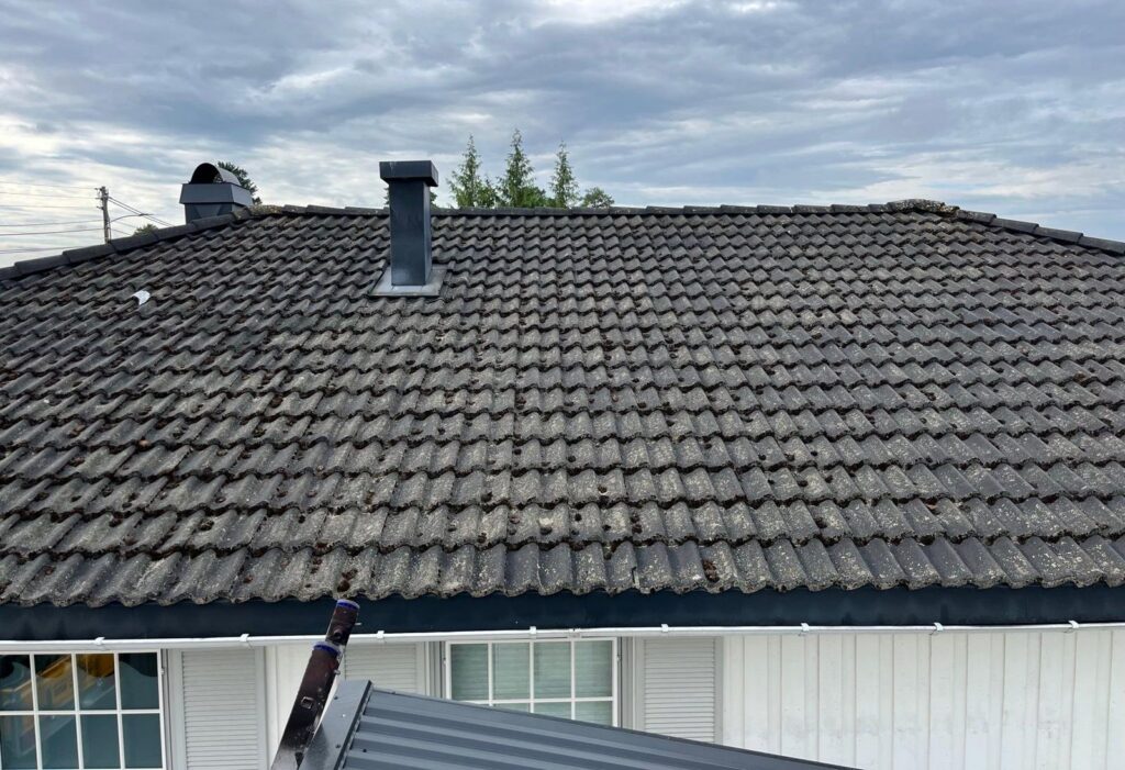 Før behandling
