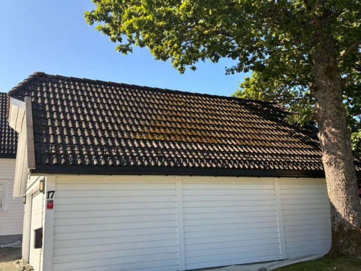 Før behandling