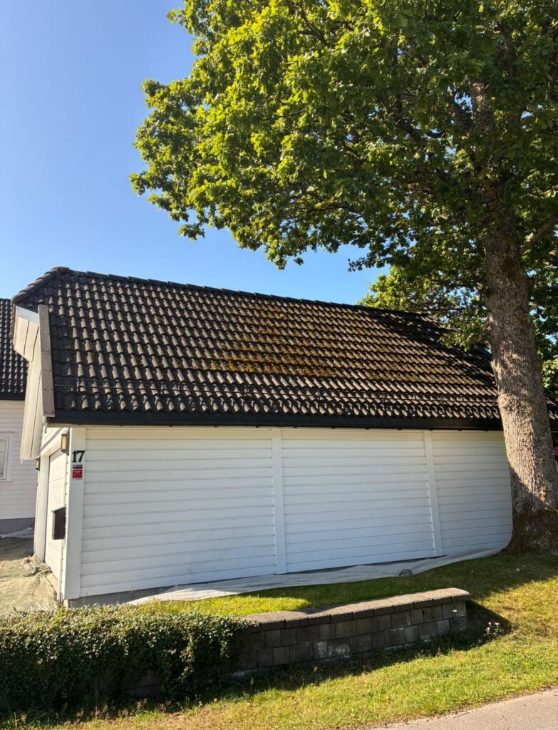 Før behandling