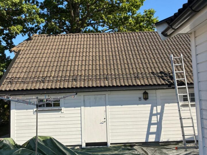 Før behandling