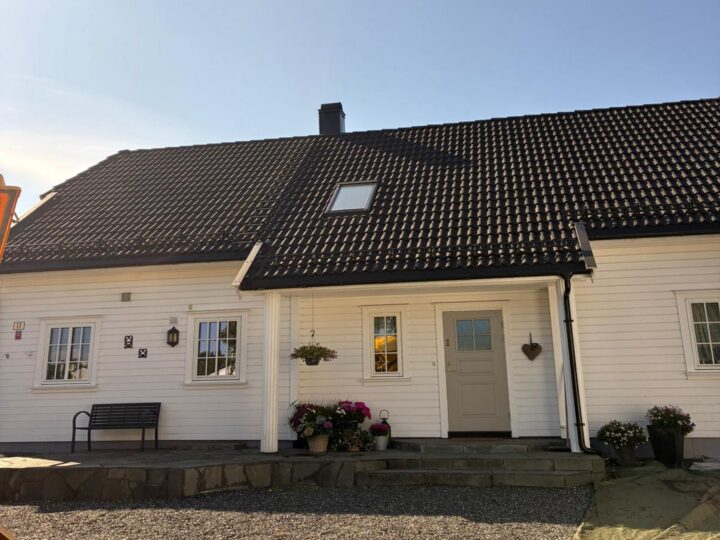 Før behandling