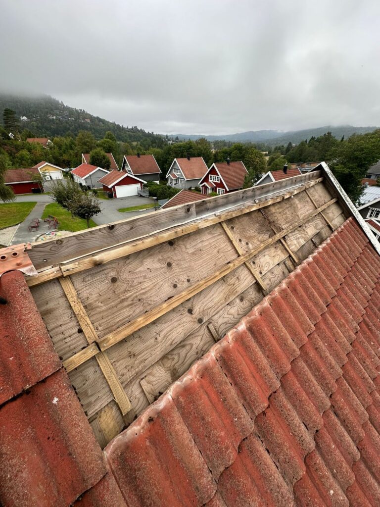 Før behandling