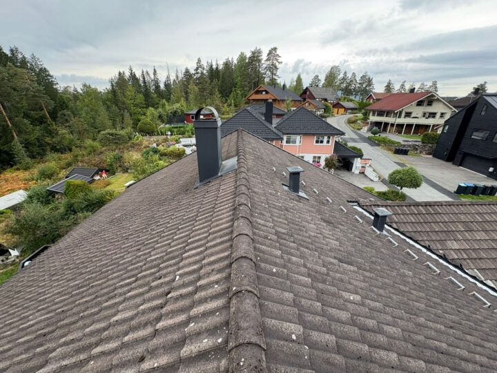 Før behandling
