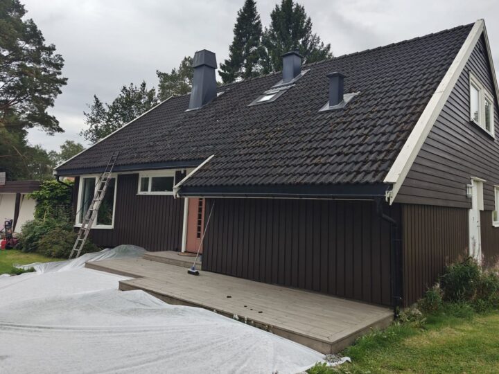Før behandling