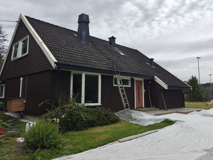 Før behandling
