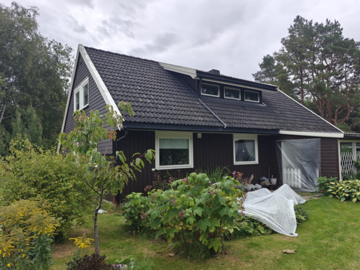 Før behandling
