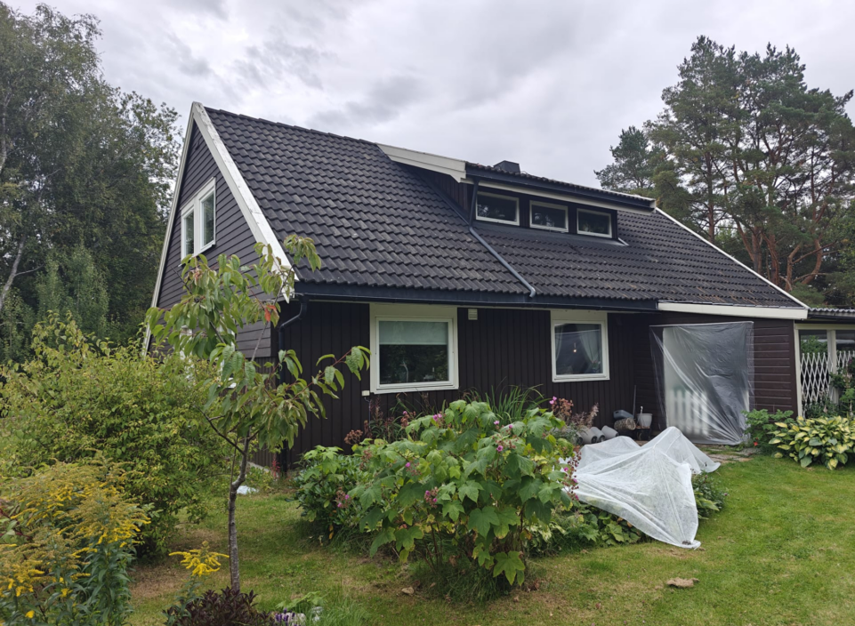 Før behandling