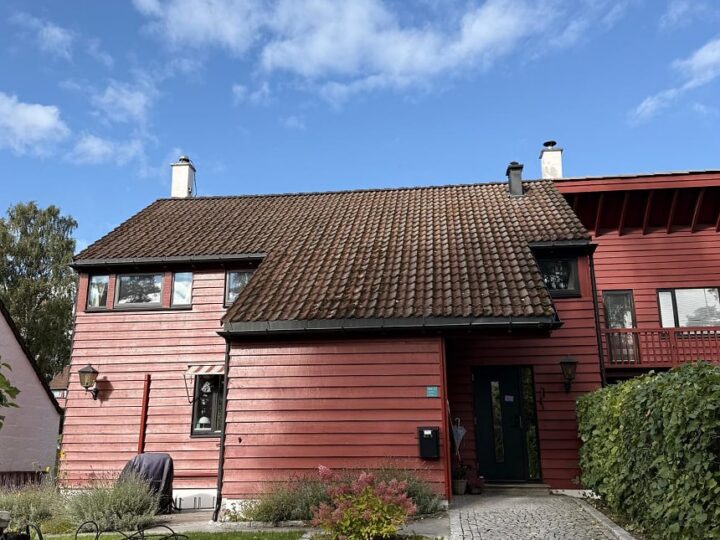 Før behandling