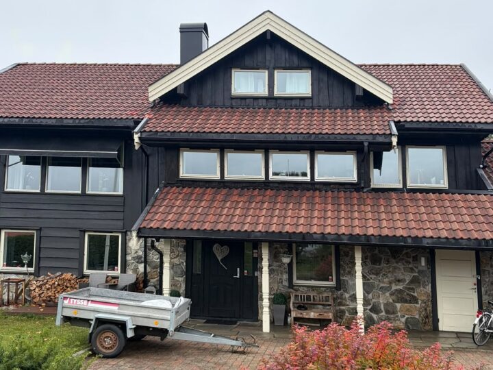 Før behandling